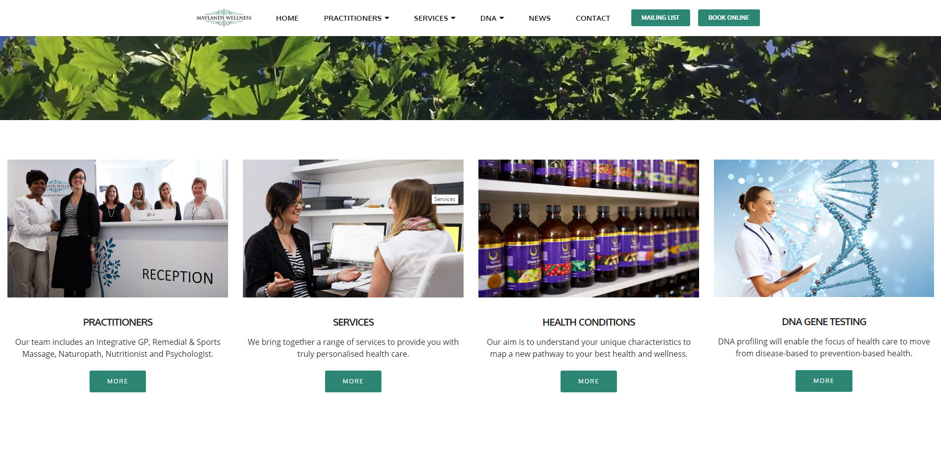 Maylands Wellness, Website Design
